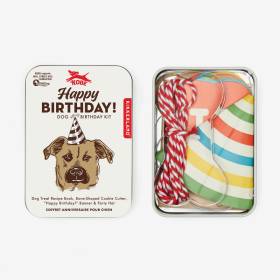 Kit Cumpleaños Para Perro